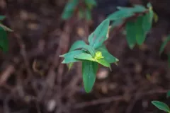 631378069_17853197286621915_531695343965093315_n