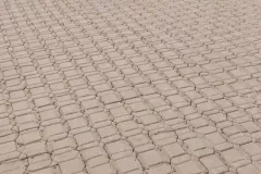 741046937_1477073947558063_5178960140672725876_n