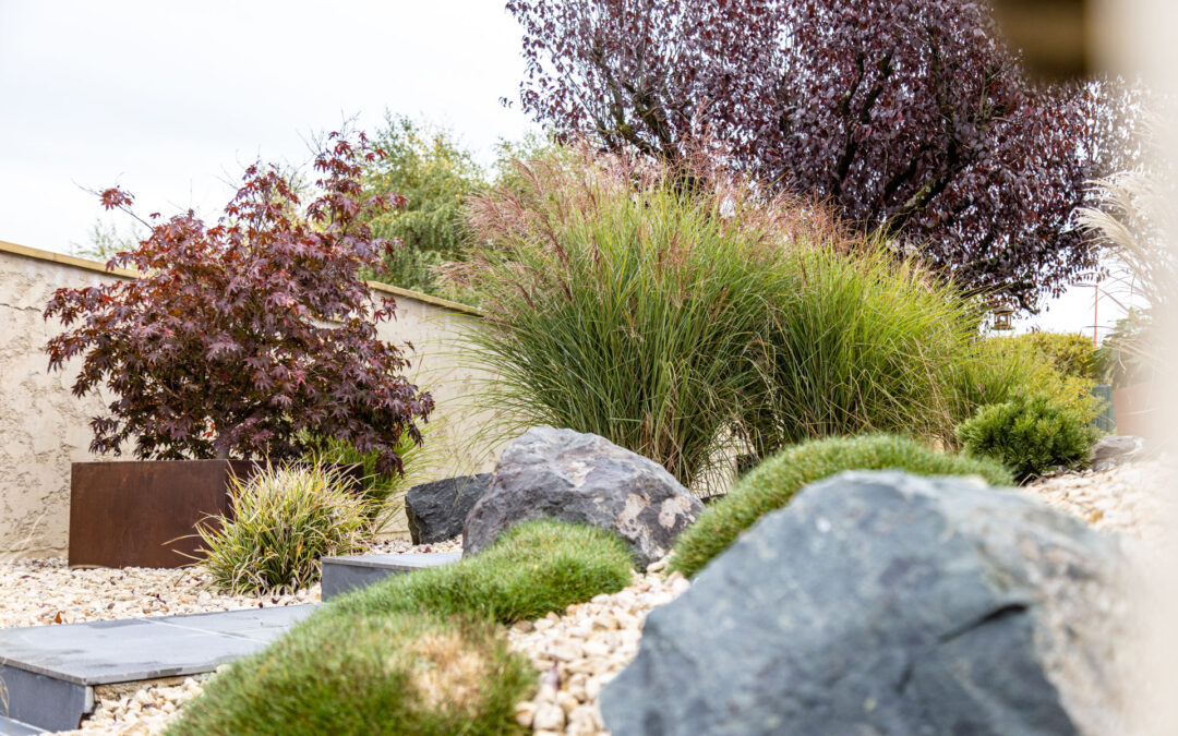 Aménagement de jardin à Commercy : des espaces verts hybrides alliant détente et productivité